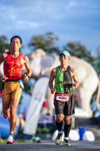 BIB: 
                            <button type="button" onclick="openModal(26541193)" class="btn btn-primary btn-sm float-right btn-popup" data-toggle="modal" data-target=".modal-high-quality">
                        <i class="fas fa-shopping-cart"></i> Add to Cart
                    </button>
                                            <button type="button" onclick="isThisMe(26541193, true)" class="btn btn-success btn-sm float-right btn-popup btn-isme hidden" data-toggle="tooltip" data-placement="bottom" title="นี่คือรูปของคุณใช่ไหม คลิกที่นี่เพื่อเอาเข้าอัลบั้ม">
                        <i class="fas fa-plus"></i> Add to album
                    </button>
                    <button type="button" onclick="isThisMe(26541193, false)" class="btn btn-warning btn-sm float-right btn-popup btn-isnotme hidden">
                        <i class="fas fa-ban"></i> Remove from album
                    </button>